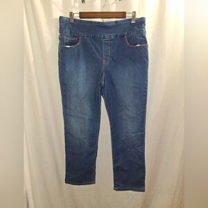 Gloria Vanderbilt pull on jeans size 16P
